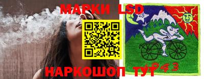 ГАЛЛЮЦИНОГЕННЫЕ ГРИБЫ Донской